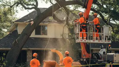 Aurora, IL arborist removing a storm-damaged tree for emergency tree service