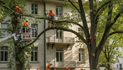 Aurora, IL tree service team provides professional tree care for local homes and businesses