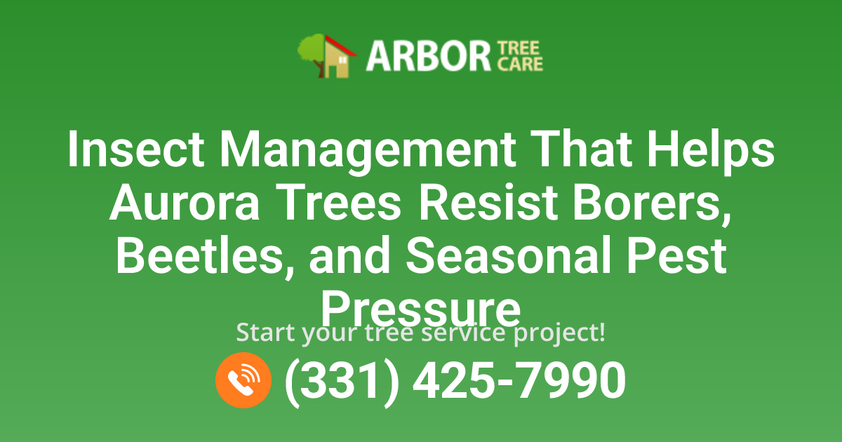Tree Hosting Insect Aurora, IL Insect Management for Tree Pests | Arbor Tree Care